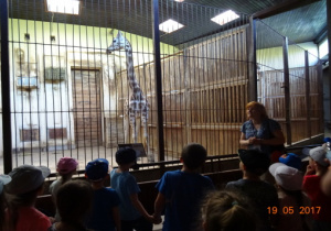 Dzieci podziwiają żyrafę.